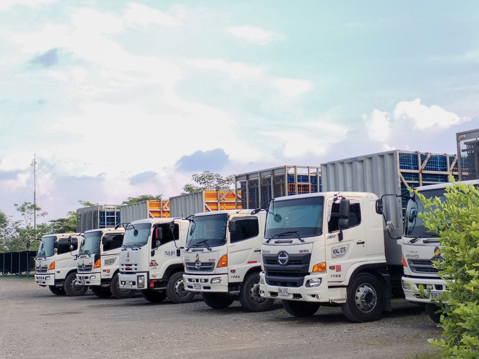 PHOTO-2024-04-29-08-29-40